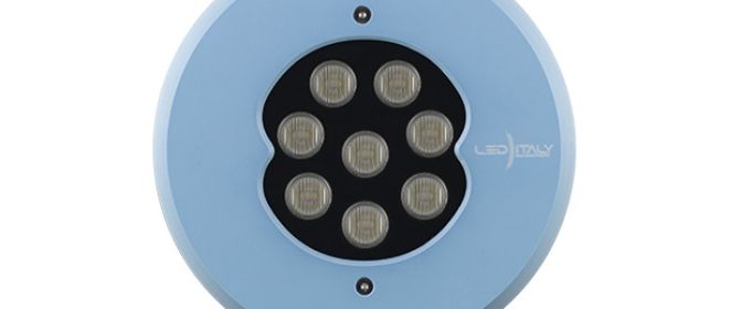 Spotlight - Squid e Mini Squid