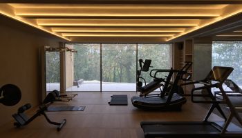 Palestra